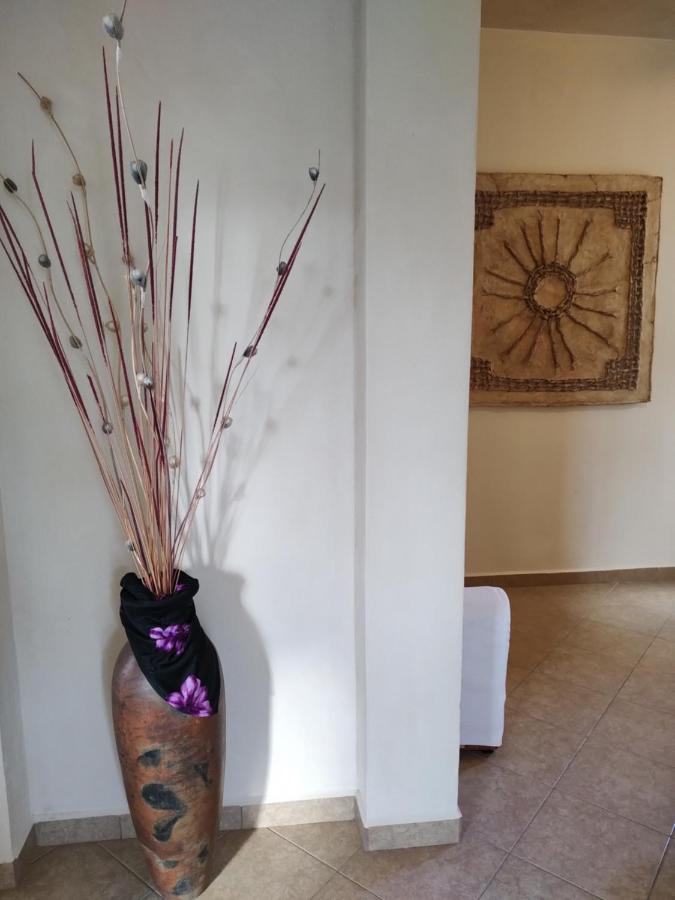 Balanca Studios Puerto Morelos Buitenkant foto